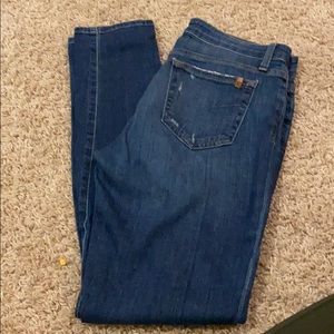 Joes skinny jeans low rise